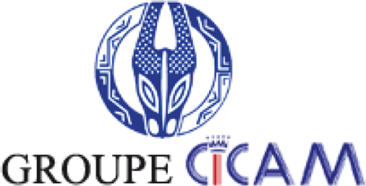logo 17