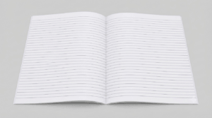 Cahier 80 Leaves Plain Lines cahier 80 leaves pl 2
