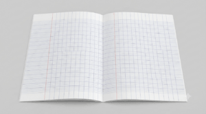 cahier de 300 pages 2